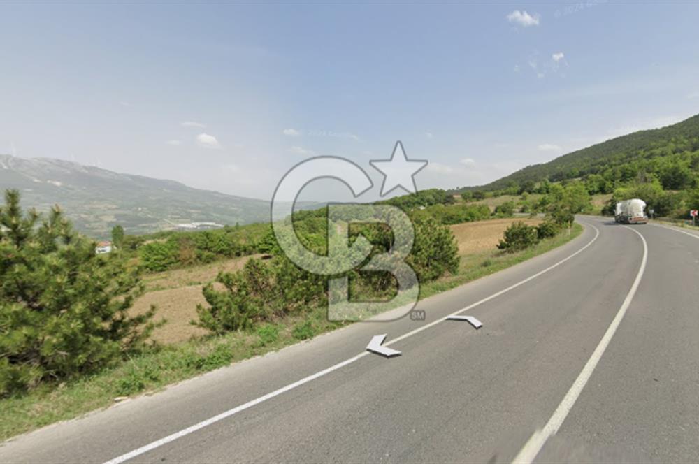 ANA YOLA CEPHE HACIOSMANLAR'DA SATILIK TURİZM İMARLI 21.800 M2 ARSA