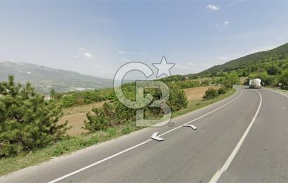ANA YOLA CEPHE HACIOSMANLAR'DA SATILIK TURİZM İMARLI 21.800 M2 ARSA