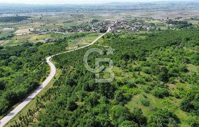 BİGA GEMİCİ KIRI SATILIK BAHÇE KÖY MERKEZE YAKIN ORMAN YANI