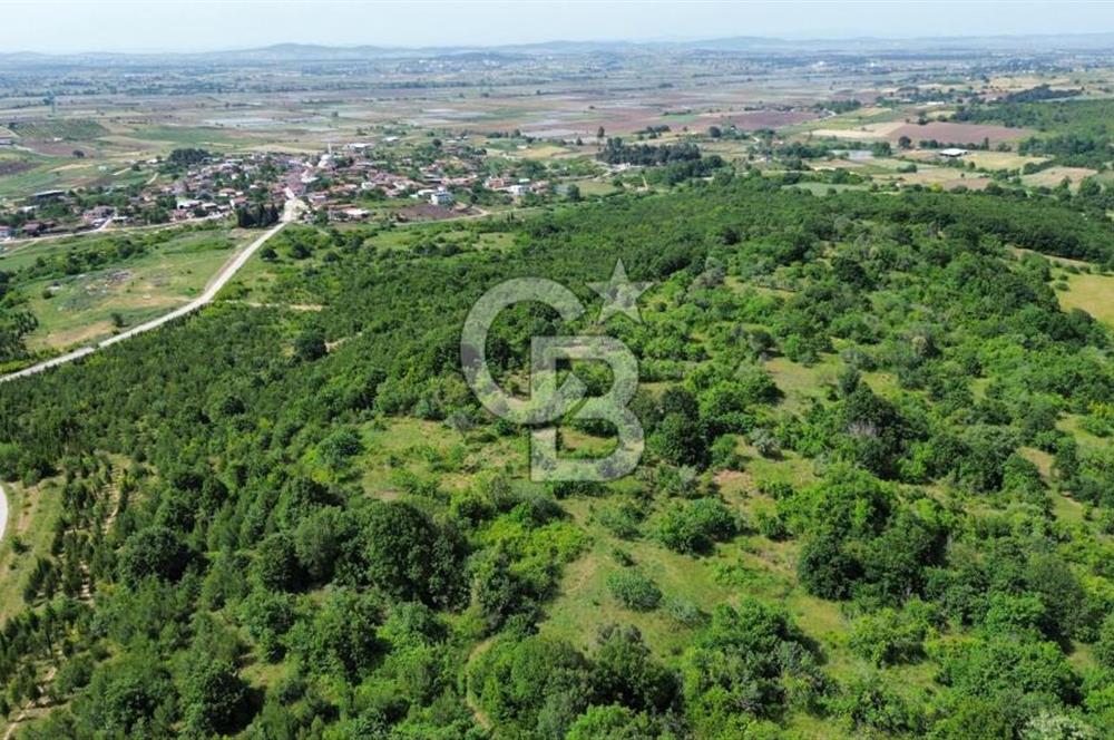 BİGA GEMİCİ KIRI SATILIK BAHÇE KÖY MERKEZE YAKIN ORMAN YANI
