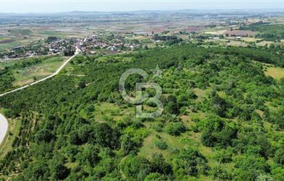 BİGA GEMİCİ KIRI SATILIK BAHÇE KÖY MERKEZE YAKIN ORMAN YANI