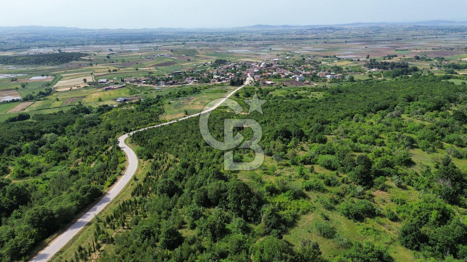 BİGA GEMİCİ KIRI SATILIK BAHÇE KÖY MERKEZE YAKIN ORMAN YANI