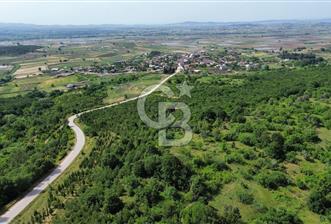 BİGA GEMİCİ KIRI SATILIK BAHÇE KÖY MERKEZE YAKIN ORMAN YANI