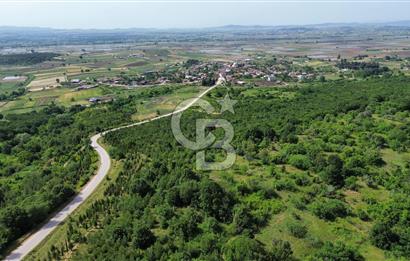 BİGA GEMİCİ KIRI SATILIK BAHÇE KÖY MERKEZE YAKIN ORMAN YANI