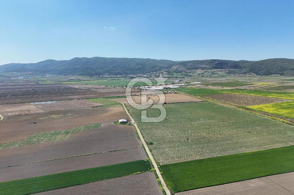 BURSA YENİŞEHİR ÇARDAK SATILIK TARLA!. 225 DÖNÜM