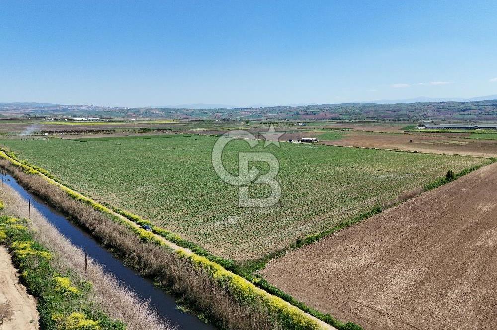 BURSA YENİŞEHİR ÇARDAK SATILIK TARLA!. 225 DÖNÜM