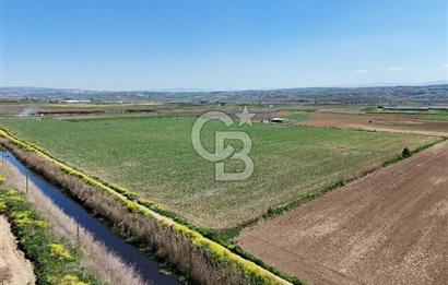 BURSA YENİŞEHİR ÇARDAK SATILIK TARLA!. 225 DÖNÜM