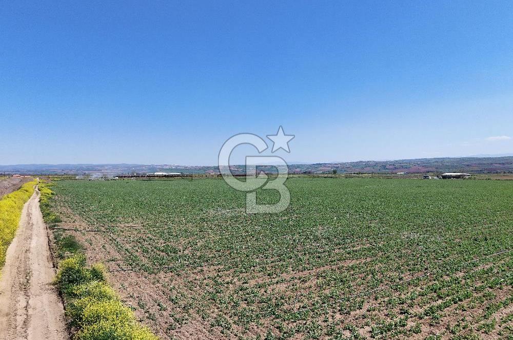 BURSA YENİŞEHİR ÇARDAK SATILIK TARLA!. 225 DÖNÜM