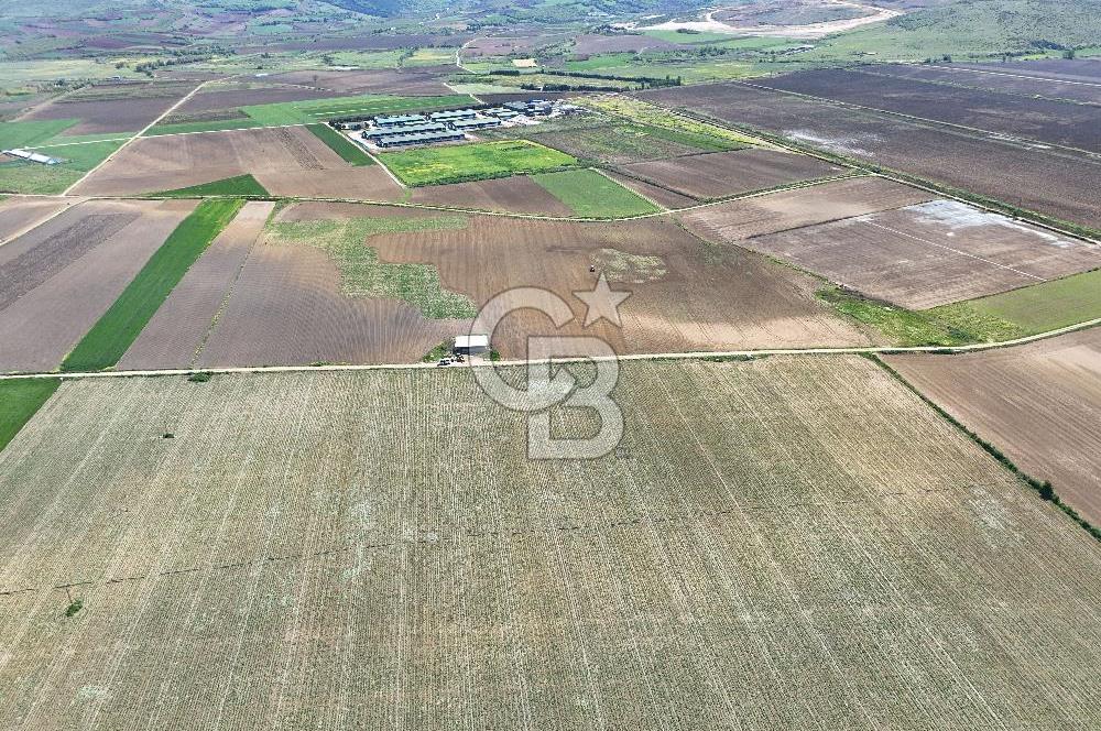 BURSA YENİŞEHİR ÇARDAK SATILIK TARLA!. 225 DÖNÜM