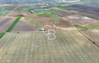 BURSA YENİŞEHİR ÇARDAK SATILIK TARLA!. 225 DÖNÜM