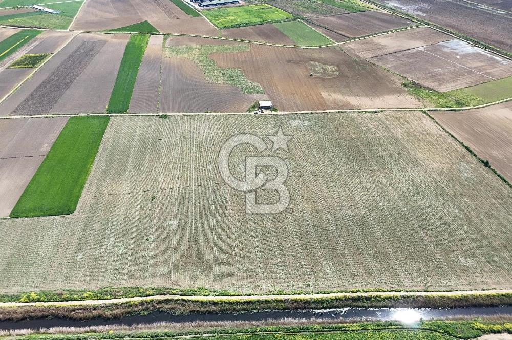 BURSA YENİŞEHİR ÇARDAK SATILIK TARLA!. 225 DÖNÜM