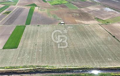 BURSA YENİŞEHİR ÇARDAK SATILIK TARLA!. 225 DÖNÜM