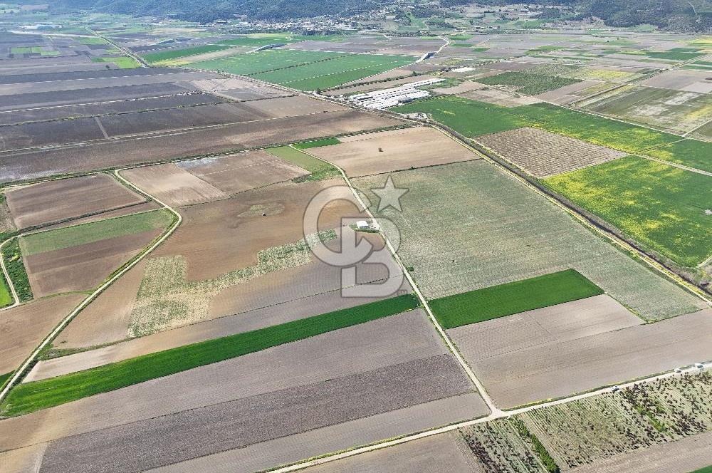 BURSA YENİŞEHİR ÇARDAK SATILIK TARLA!. 225 DÖNÜM