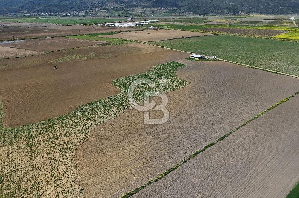 BURSA YENİŞEHİR ÇARDAK SATILIK TARLA!. 225 DÖNÜM