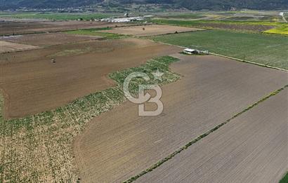 BURSA YENİŞEHİR ÇARDAK SATILIK TARLA!. 225 DÖNÜM