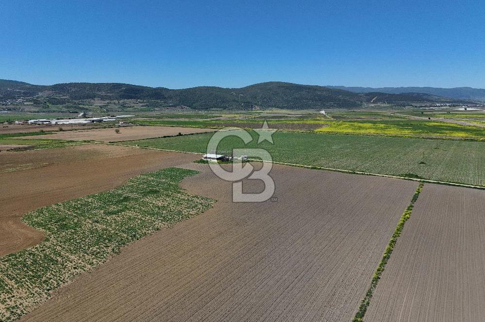 BURSA YENİŞEHİR ÇARDAK SATILIK TARLA!. 225 DÖNÜM