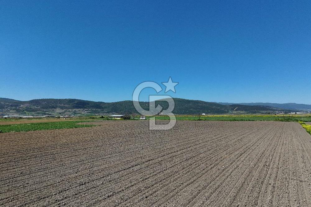 BURSA YENİŞEHİR ÇARDAK SATILIK TARLA!. 225 DÖNÜM