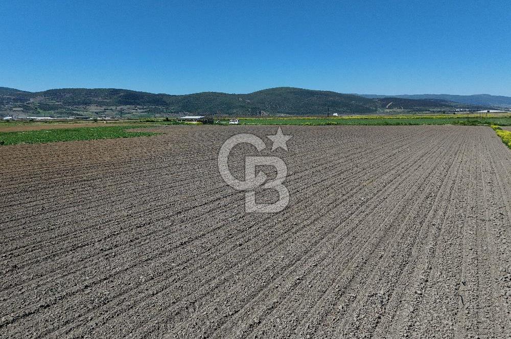 BURSA YENİŞEHİR ÇARDAK SATILIK TARLA!. 225 DÖNÜM