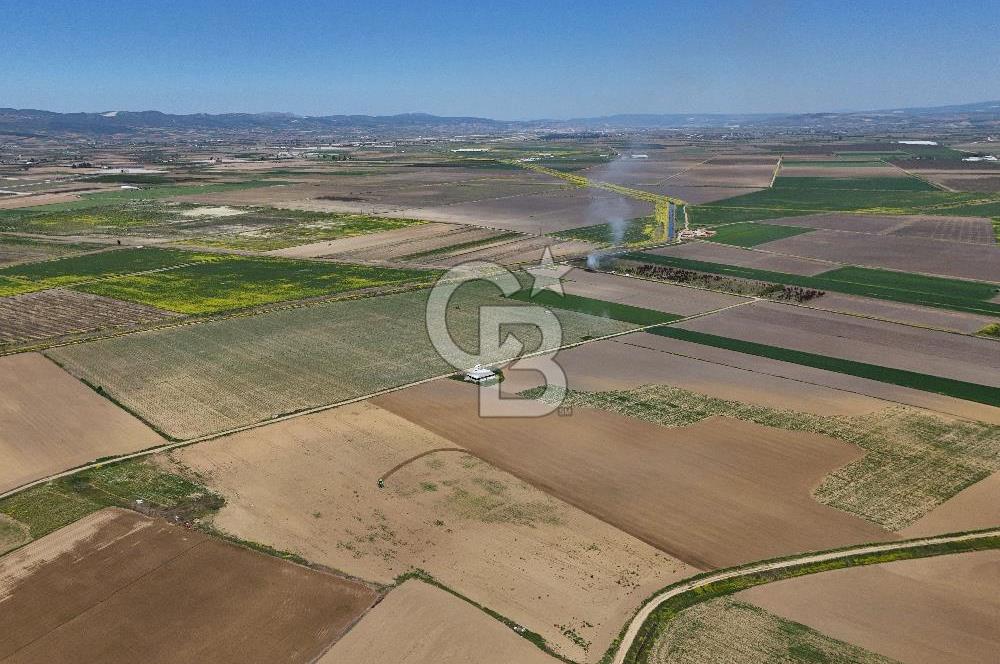 BURSA YENİŞEHİR ÇARDAK SATILIK TARLA!. 225 DÖNÜM