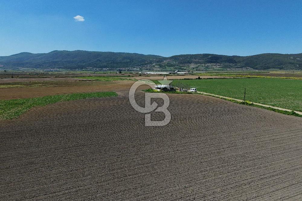 BURSA YENİŞEHİR ÇARDAK SATILIK TARLA!. 225 DÖNÜM