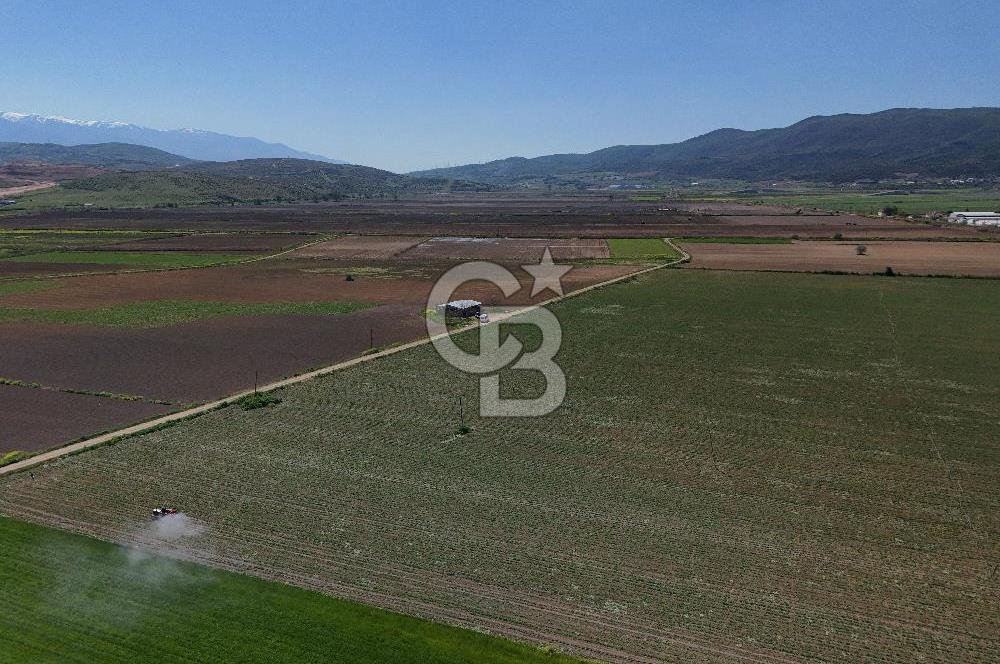 BURSA YENİŞEHİR ÇARDAK SATILIK TARLA!. 225 DÖNÜM