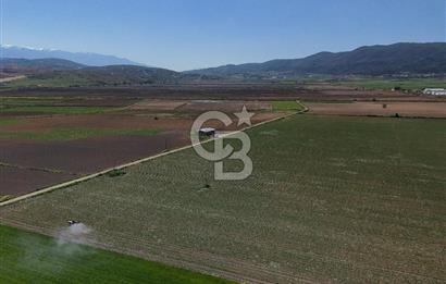 BURSA YENİŞEHİR ÇARDAK SATILIK TARLA!. 225 DÖNÜM