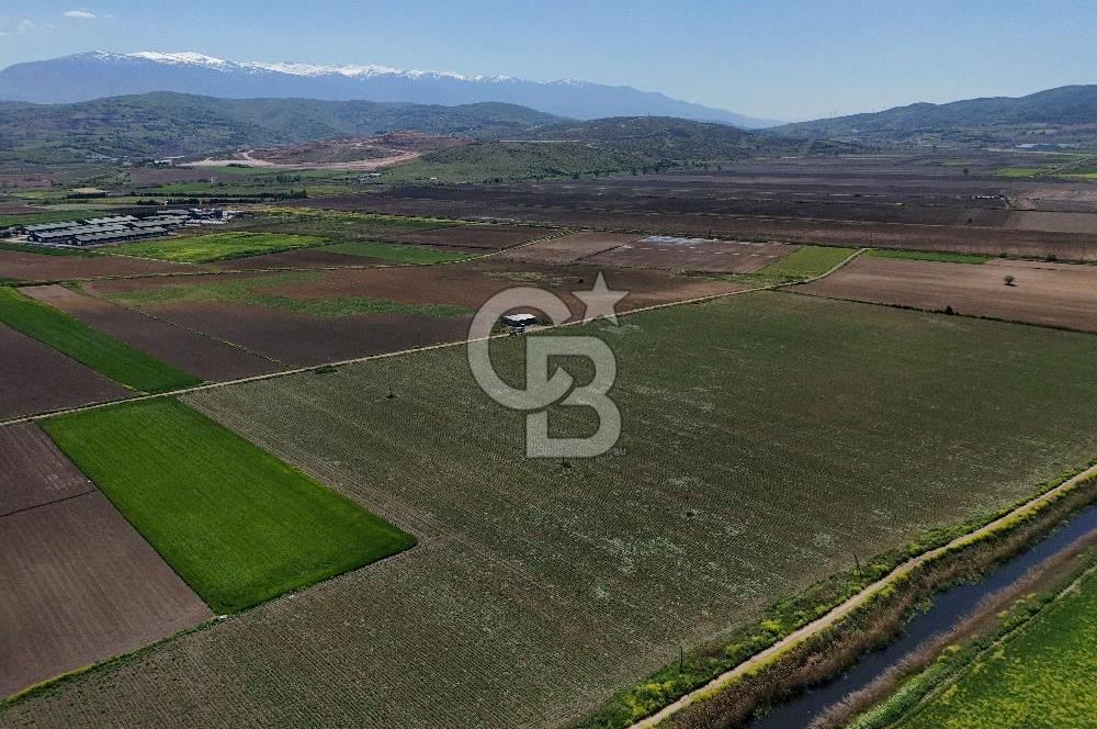BURSA YENİŞEHİR ÇARDAK SATILIK TARLA!. 225 DÖNÜM