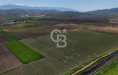 BURSA YENİŞEHİR ÇARDAK SATILIK TARLA!. 225 DÖNÜM