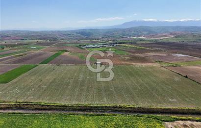 BURSA YENİŞEHİR ÇARDAK SATILIK TARLA!. 225 DÖNÜM