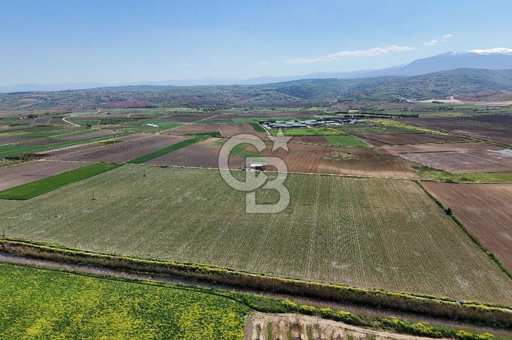 BURSA YENİŞEHİR ÇARDAK SATILIK TARLA!. 225 DÖNÜM