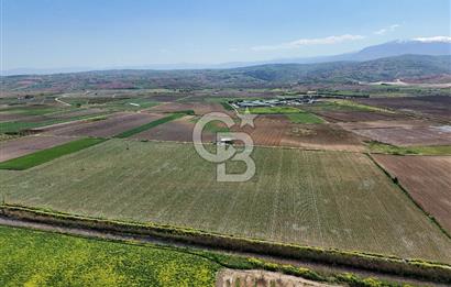 BURSA YENİŞEHİR ÇARDAK SATILIK TARLA!. 225 DÖNÜM