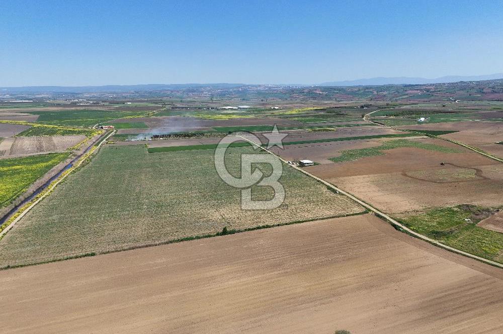 BURSA YENİŞEHİR ÇARDAK SATILIK TARLA!. 225 DÖNÜM