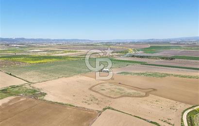 BURSA YENİŞEHİR ÇARDAK SATILIK TARLA!. 225 DÖNÜM