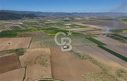 BURSA YENİŞEHİR ÇARDAK SATILIK TARLA!. 225 DÖNÜM