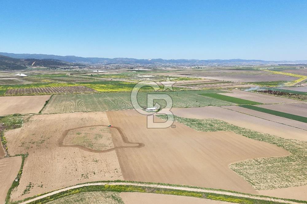 BURSA YENİŞEHİR ÇARDAK SATILIK TARLA!. 225 DÖNÜM