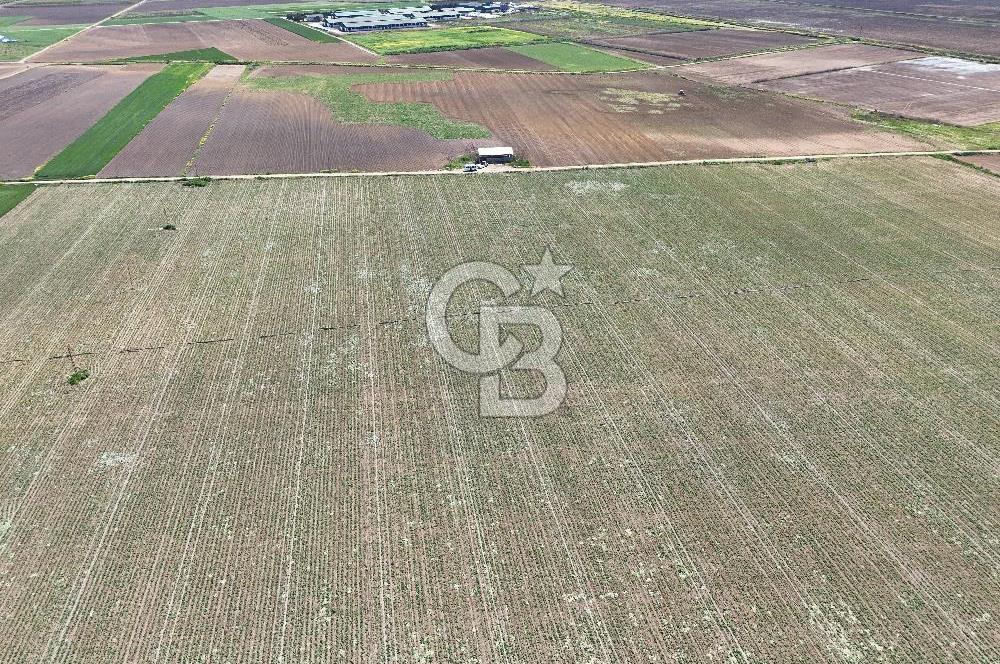BURSA YENİŞEHİR ÇARDAK SATILIK TARLA!. 225 DÖNÜM