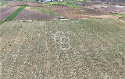 BURSA YENİŞEHİR ÇARDAK SATILIK TARLA!. 225 DÖNÜM