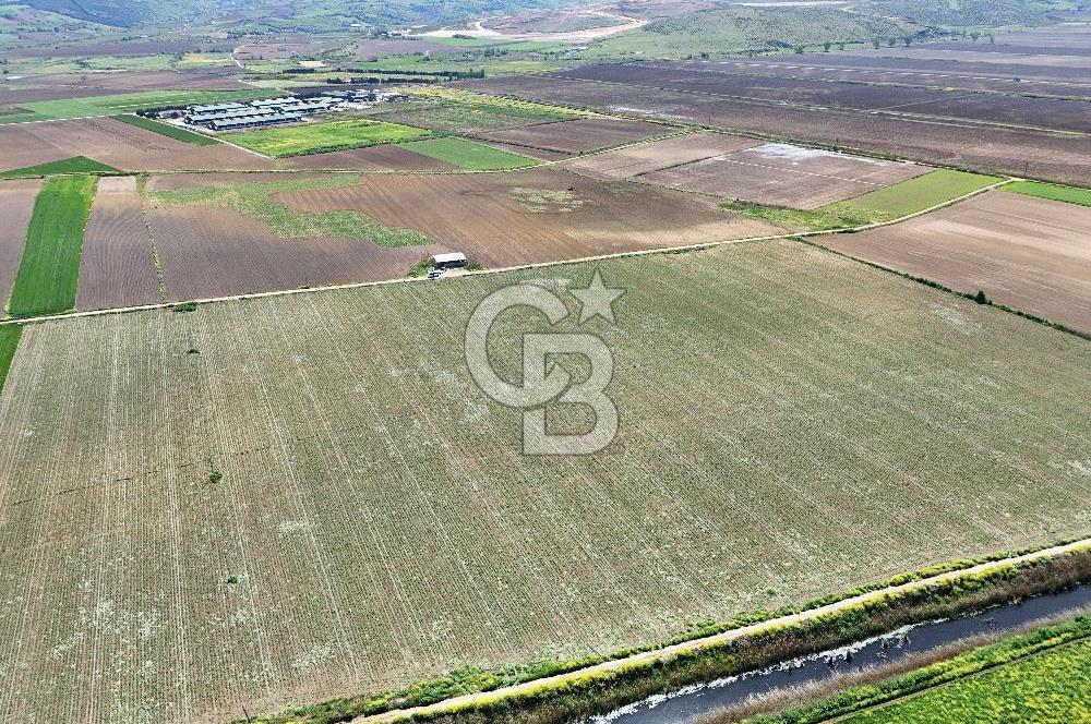 BURSA YENİŞEHİR ÇARDAK SATILIK TARLA!. 225 DÖNÜM