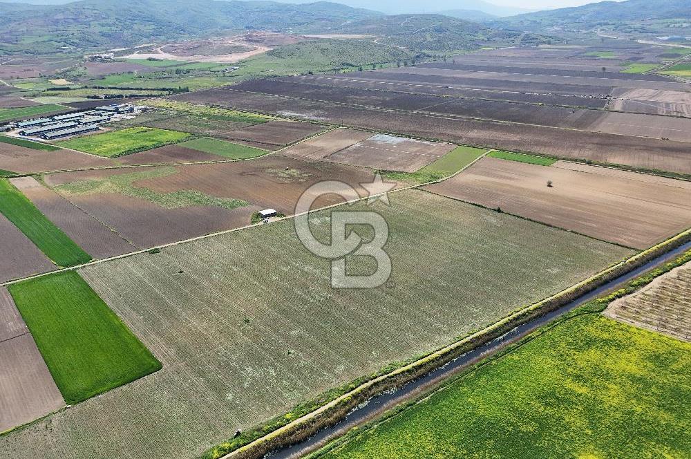 BURSA YENİŞEHİR ÇARDAK SATILIK TARLA!. 225 DÖNÜM