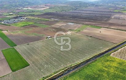 BURSA YENİŞEHİR ÇARDAK SATILIK TARLA!. 225 DÖNÜM