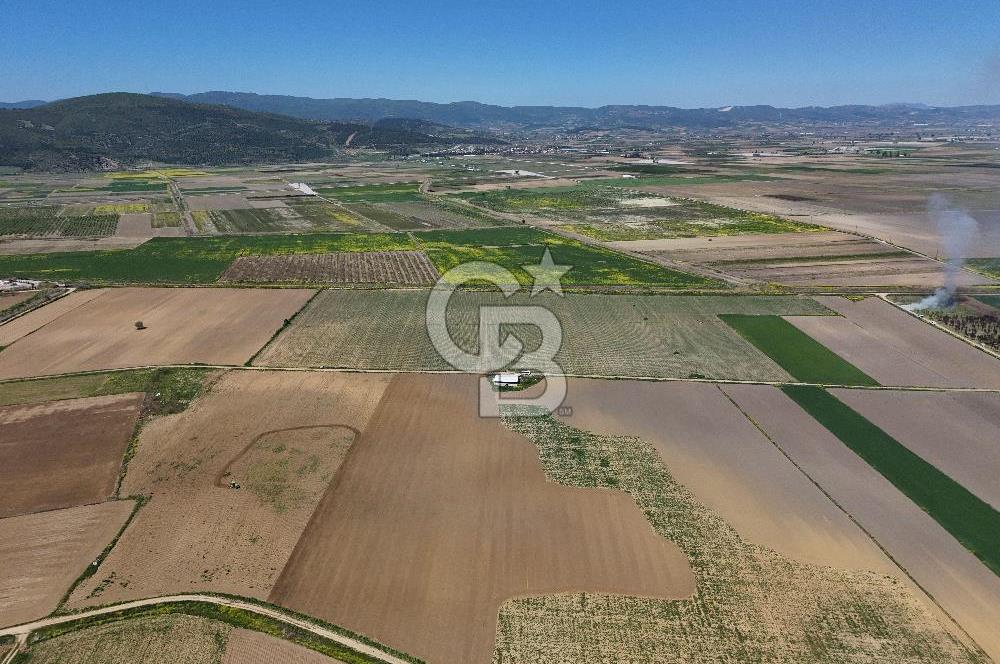 BURSA YENİŞEHİR ÇARDAK SATILIK TARLA!. 225 DÖNÜM