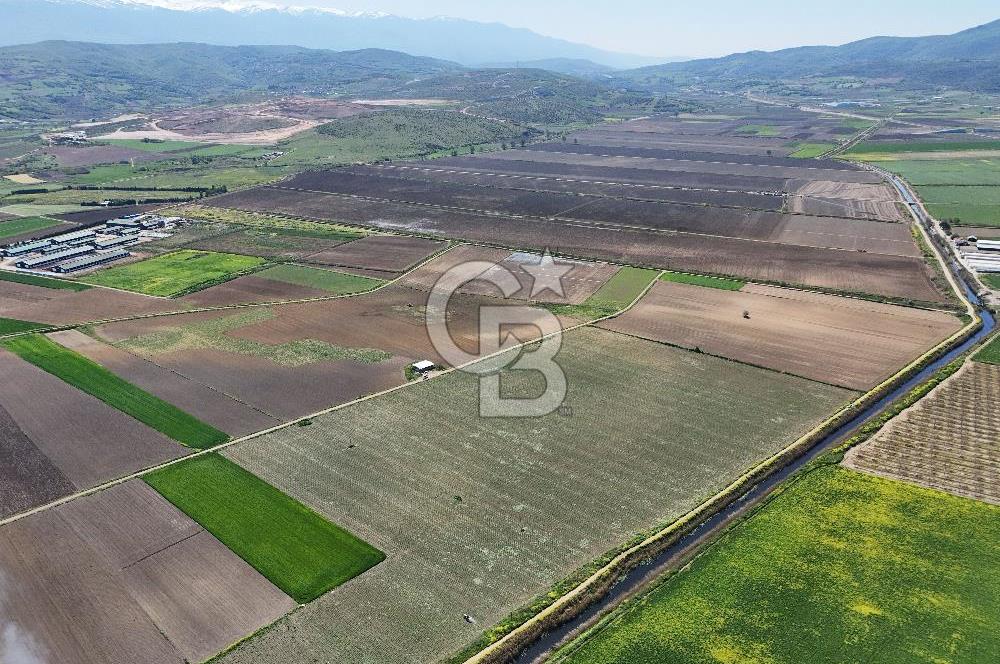 BURSA YENİŞEHİR ÇARDAK SATILIK TARLA!. 225 DÖNÜM