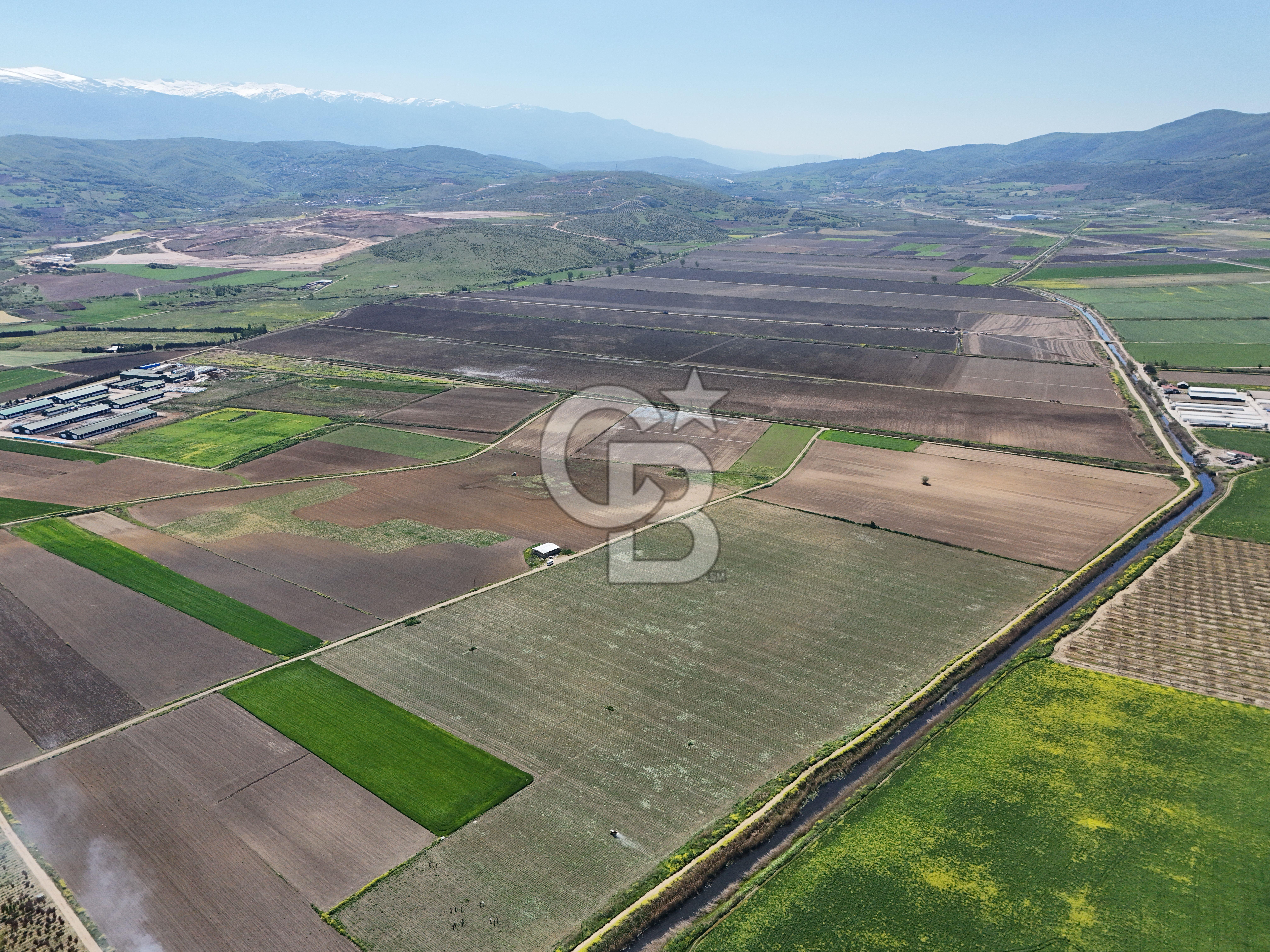 BURSA YENİŞEHİR ÇARDAK SATILIK TARLA!. 225 DÖNÜM