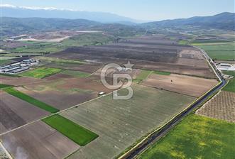 BURSA YENİŞEHİR ÇARDAK SATILIK TARLA!. 225 DÖNÜM