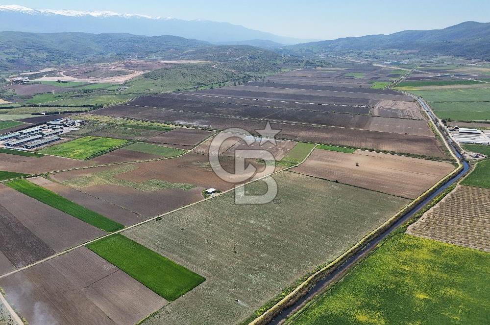 BURSA YENİŞEHİR ÇARDAK SATILIK TARLA!. 225 DÖNÜM