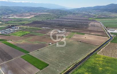 BURSA YENİŞEHİR ÇARDAK SATILIK TARLA!. 225 DÖNÜM