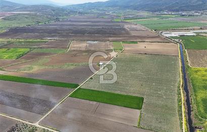 BURSA YENİŞEHİR ÇARDAK SATILIK TARLA!. 225 DÖNÜM