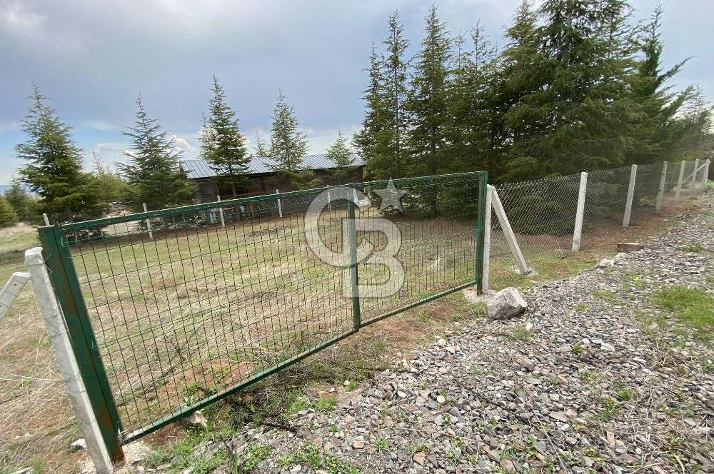 GÜNALANDA SİTE KONSEPTİNDE MÜKEMMEL KONUMDA BAHÇE 500M2