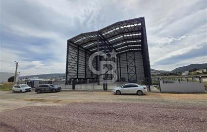 YALOVA ALTINOVA TAVŞANLI SATILIK FABRİKA HANGAR! 1458M2 H:20M