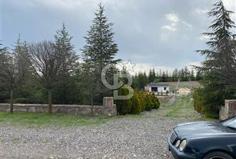 GÜNALANDA SİTE KONSEPTİNDE MÜKEMMEL KONUMDA BAHÇE 500M2